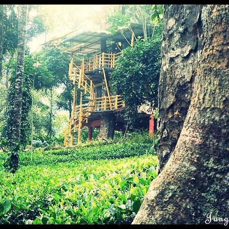 Jungle Jive Tree House Munnar Bed and Breakfast Exteriör bild