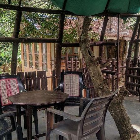 Jungle Jive Tree House Munnar Bed and Breakfast Exteriör bild