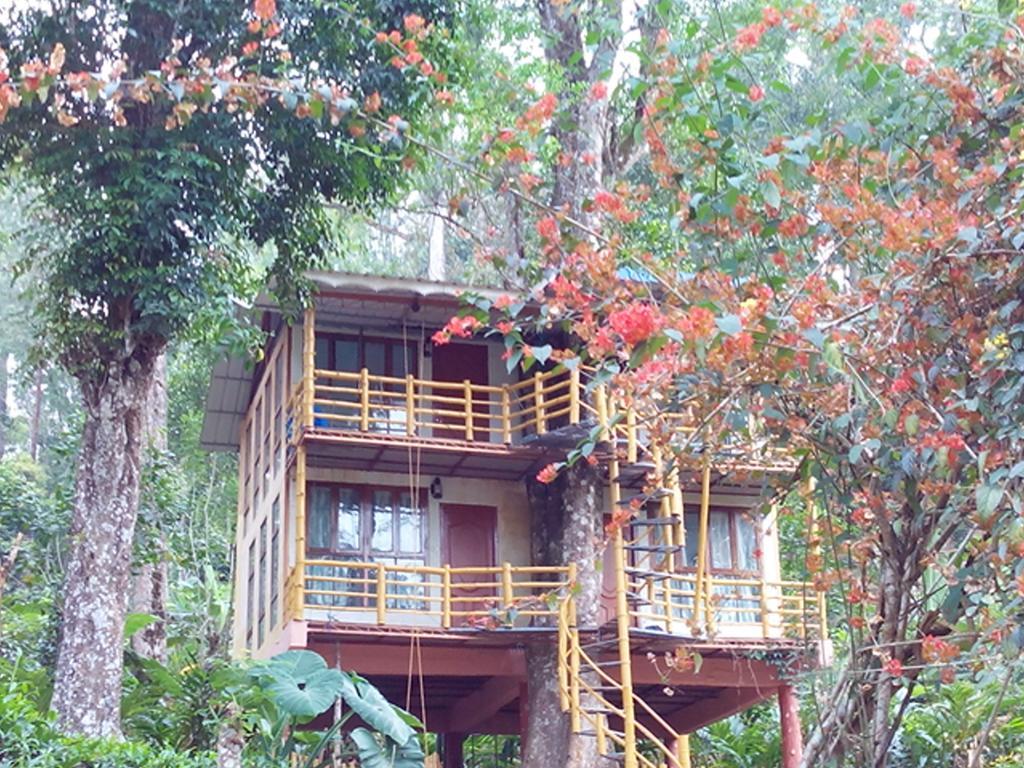 Jungle Jive Tree House Munnar Bed and Breakfast Exteriör bild