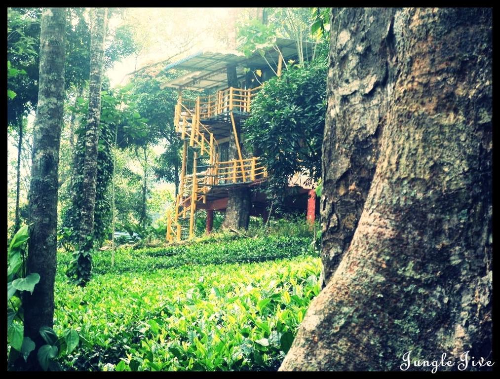 Jungle Jive Tree House Munnar Bed and Breakfast Exteriör bild
