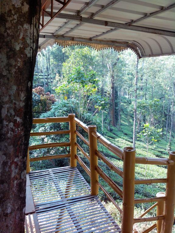 Jungle Jive Tree House Munnar Bed and Breakfast Rum bild