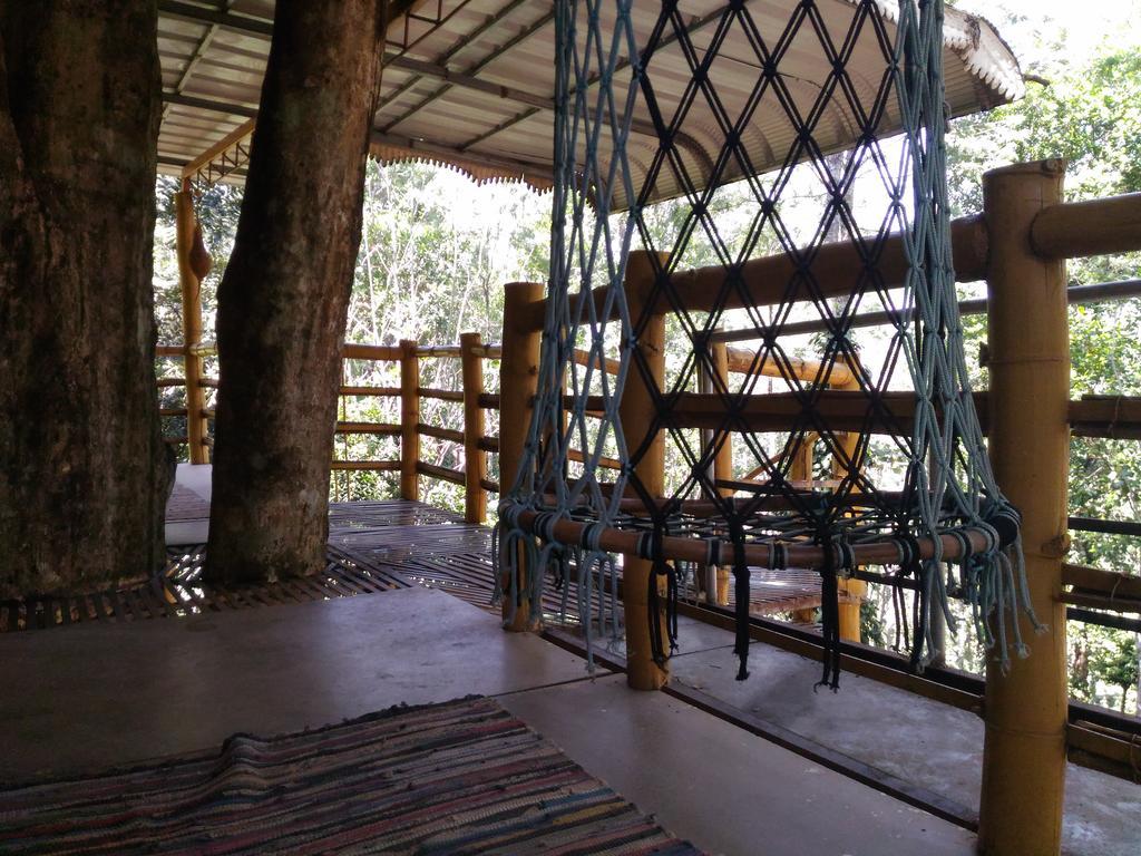 Jungle Jive Tree House Munnar Bed and Breakfast Exteriör bild