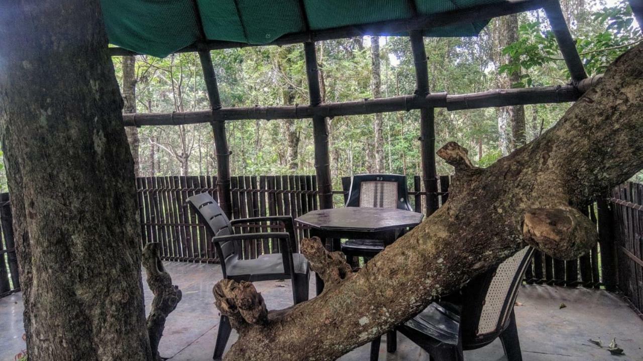 Jungle Jive Tree House Munnar Bed and Breakfast Exteriör bild