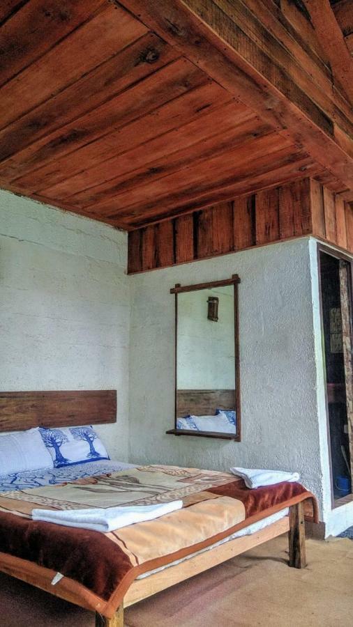 Jungle Jive Tree House Munnar Bed and Breakfast Exteriör bild