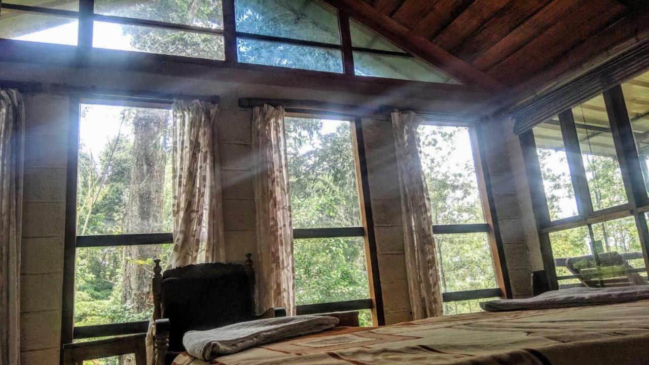 Jungle Jive Tree House Munnar Bed and Breakfast Exteriör bild